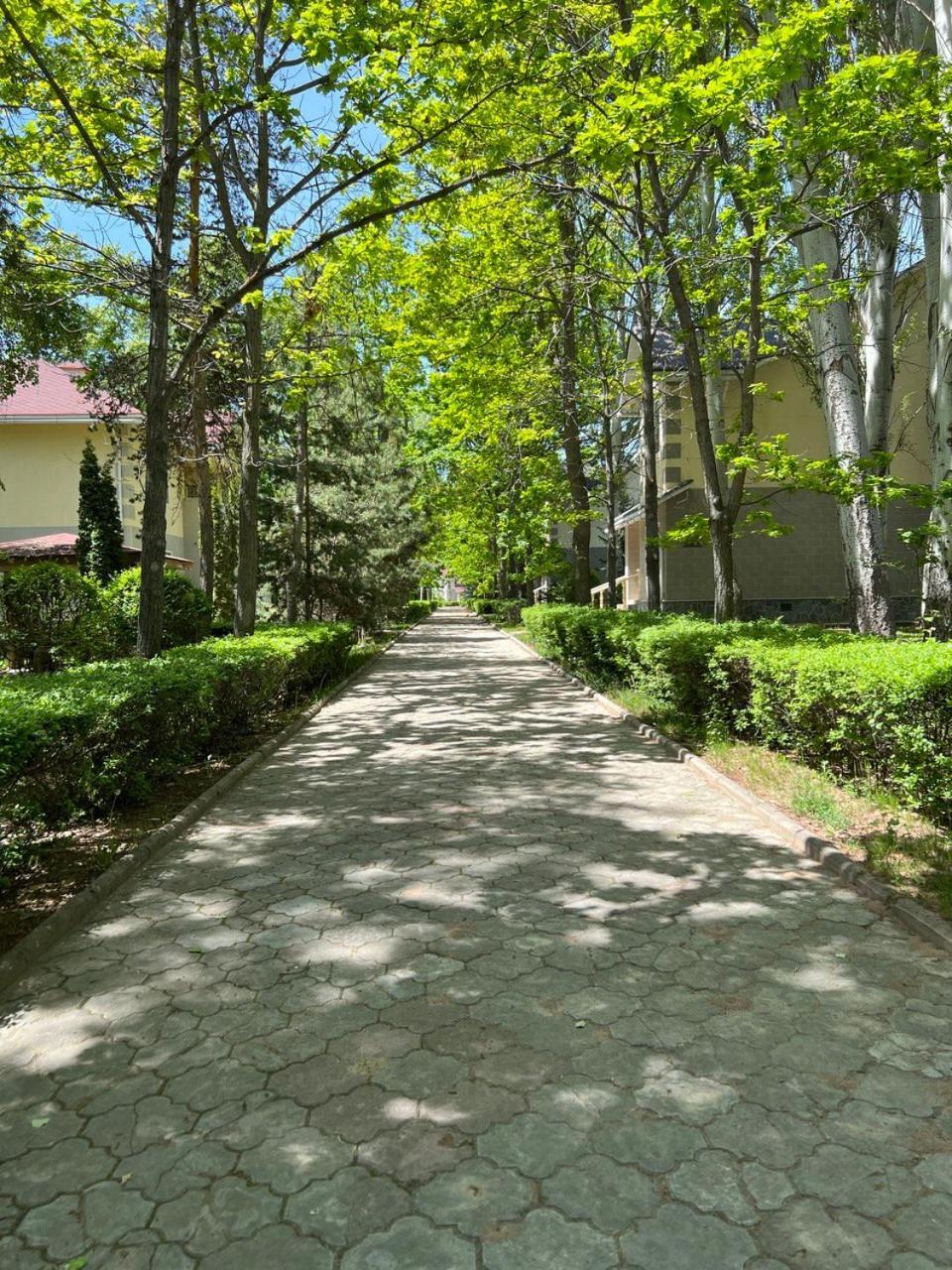 Luxury-Family-Cottage Бостери Экстерьер фото